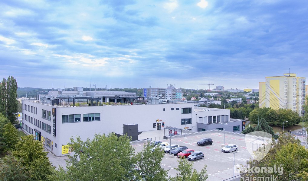 Pronájem bytu 3+kk 65 m², Praha – náhled fotky 21