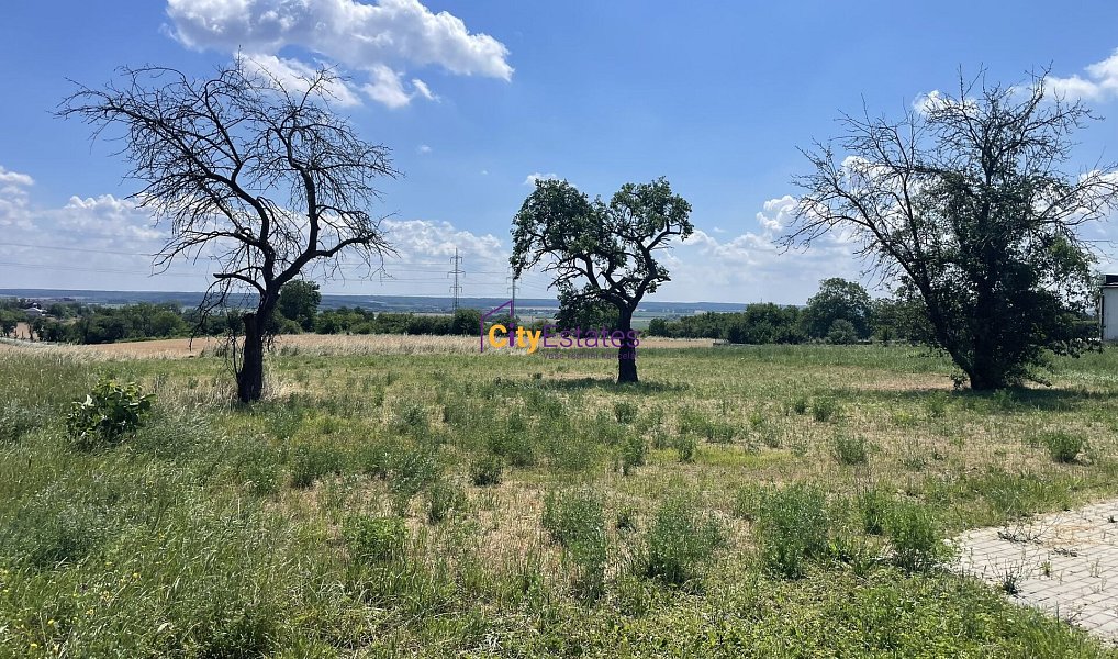 Prodej stavebního pozemku 1 090 m², Dobrovice – náhled fotky 7