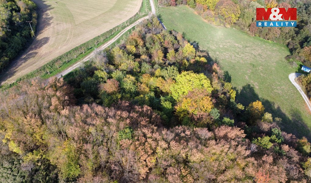 Prodej pole 4 731 m², Milešov – náhled fotky 7