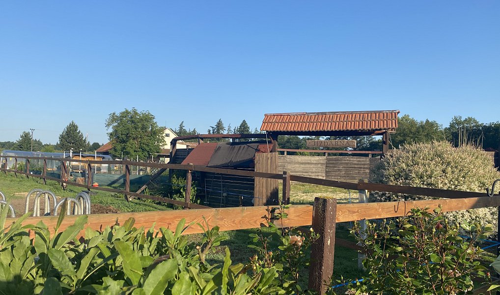 Prodej komerčního objektu (jiného typu) 28 792 m², Pluhův Žďár – náhled fotky 7