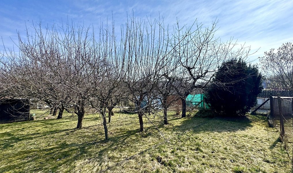 Prodej zahrady 511 m², Dyje – náhled fotky 11