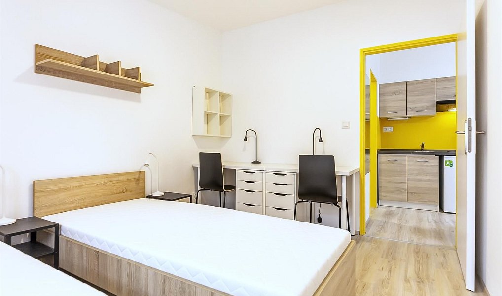 Pronájem bytu 2+1 31 m², Brno – náhled fotky 8