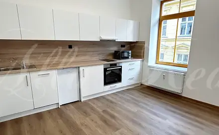 Pronájem bytu 2+kk 50 m², Bratislavská, Brno - Zábrdovice