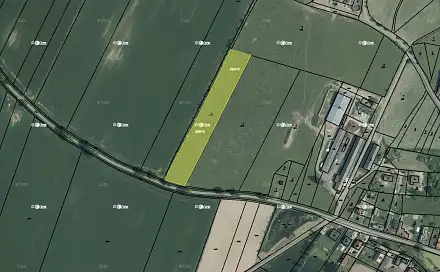 Prodej pole 7 295 m², Borkovice, okres Tábor