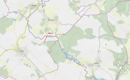 Dražba pozemku 346 m², Borovník