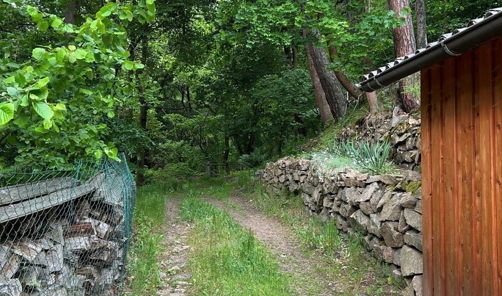 Prodej domu 132 m² s pozemkem 221 m², Březová – náhled fotky 23