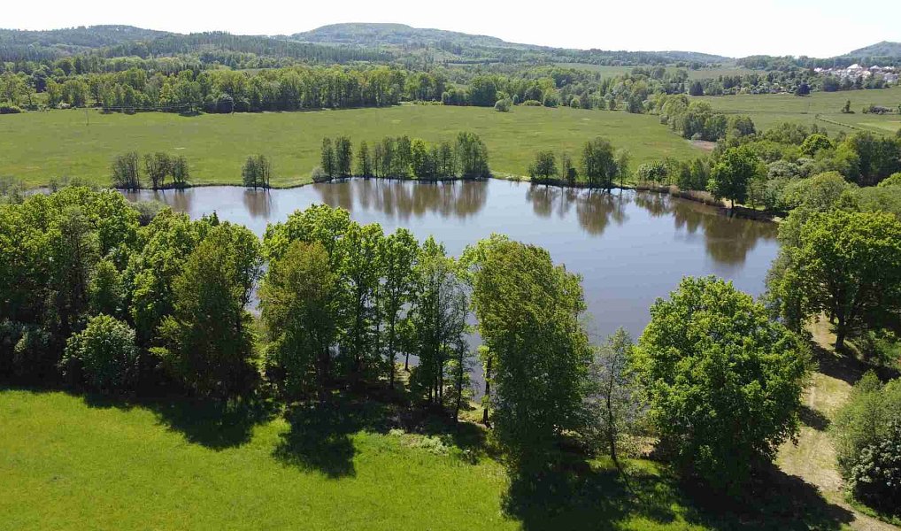 Prodej pole 1 989 m², Šluknov – náhled fotky 2