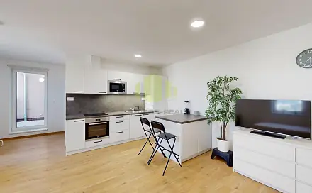 Pronájem bytu 1+kk 50 m², Wittgensteinova, Olomouc