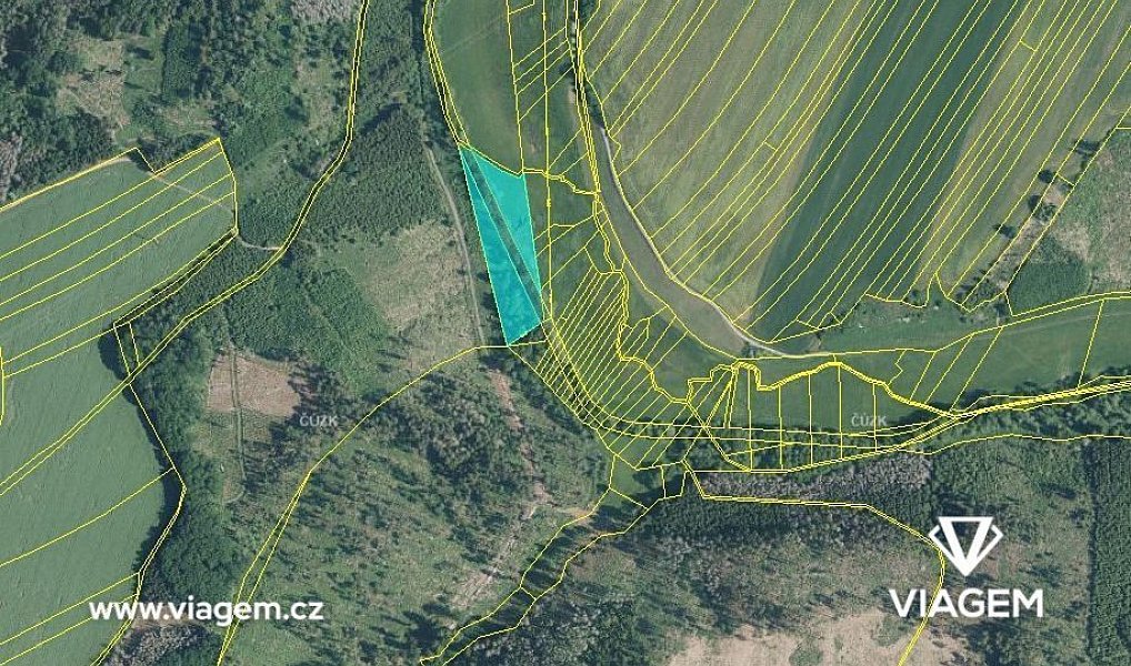 Prodej lesa 1 431 m², Velká Bíteš – náhled fotky 4