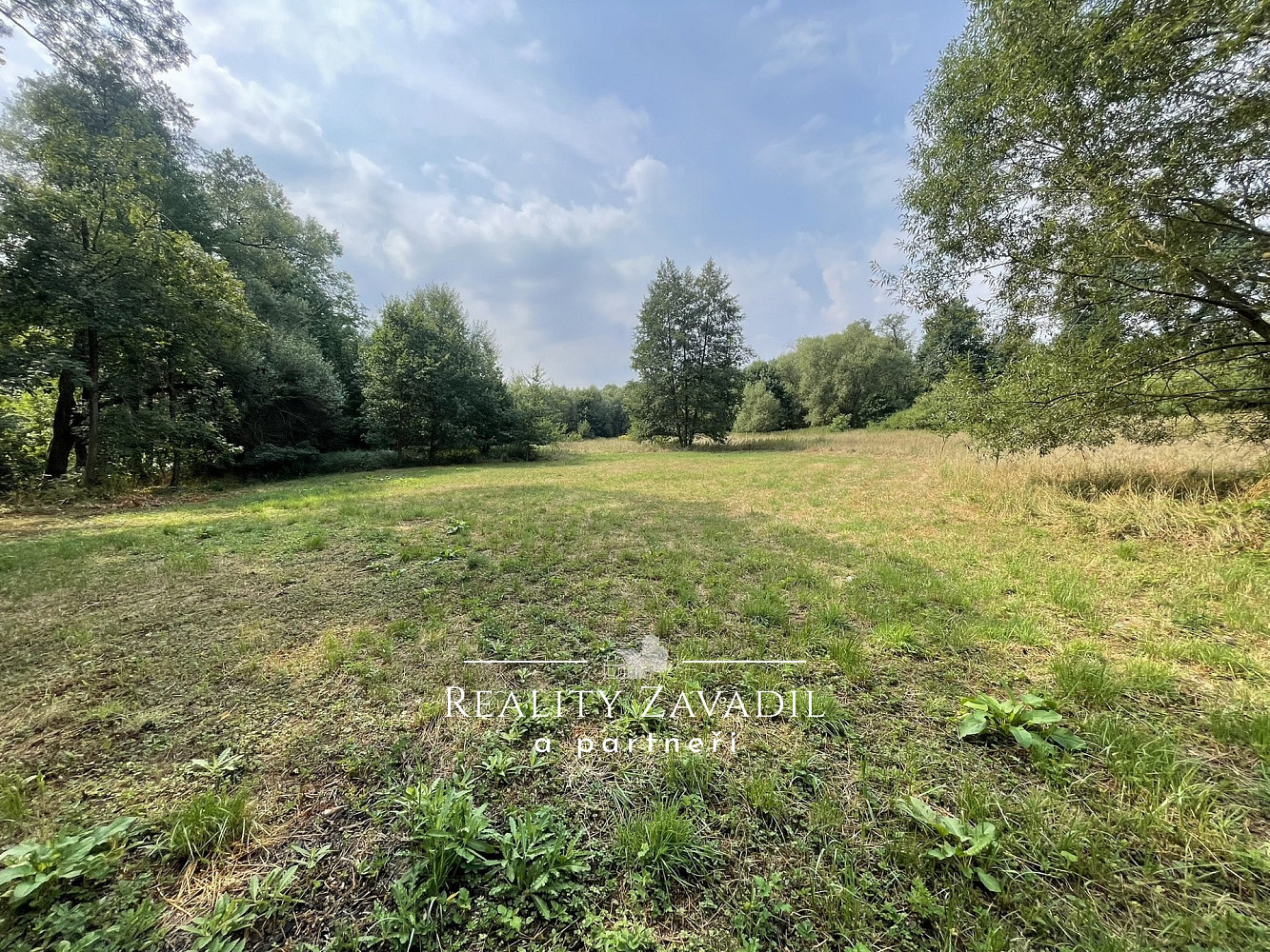Prodej zahrady 2 586 m² – fotografie 4