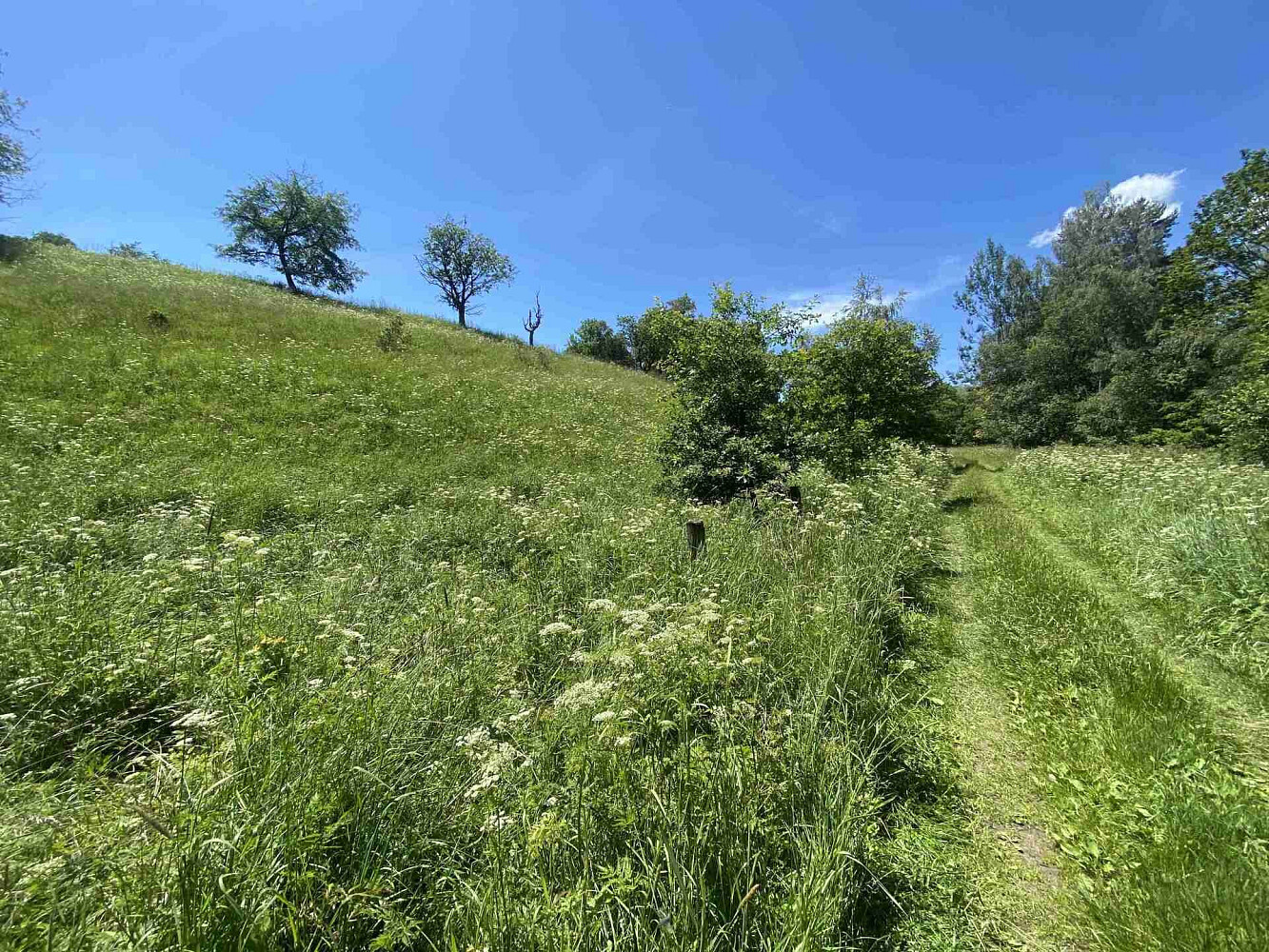 Prodej pole 5 634 m²