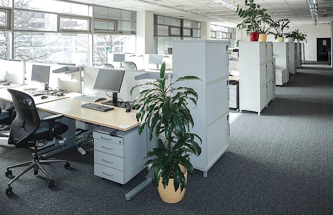 Pronájem kanceláře 1 000 m² – fotografie 5