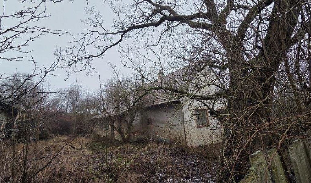 Prodej domu 371 m² s pozemkem 11 770 m², Křižanov – náhled fotky 23