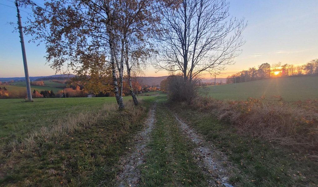 Prodej louky 6 834 m², Železný Brod – náhled fotky 15