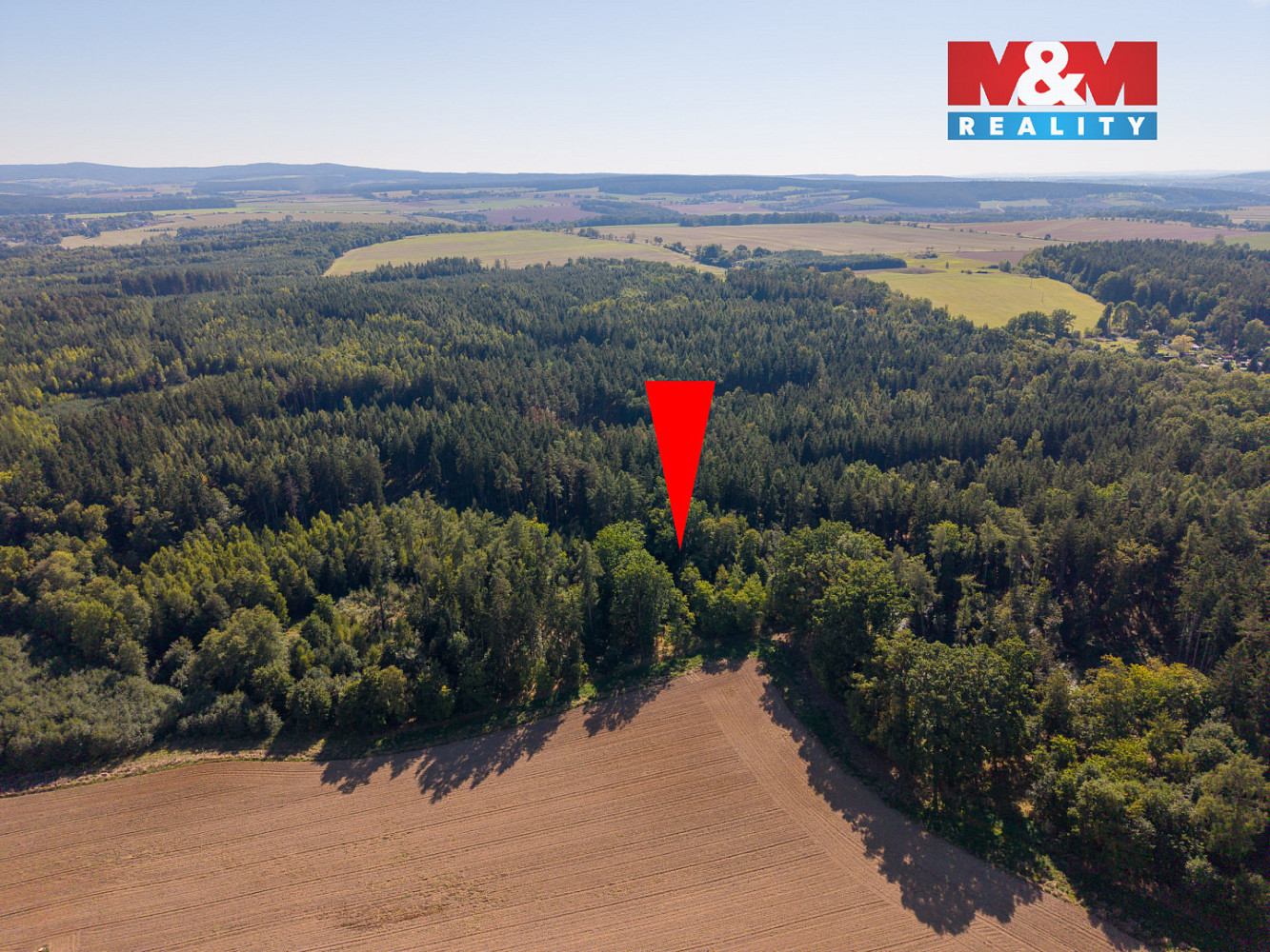 Prodej lesa 1 757 m² – další