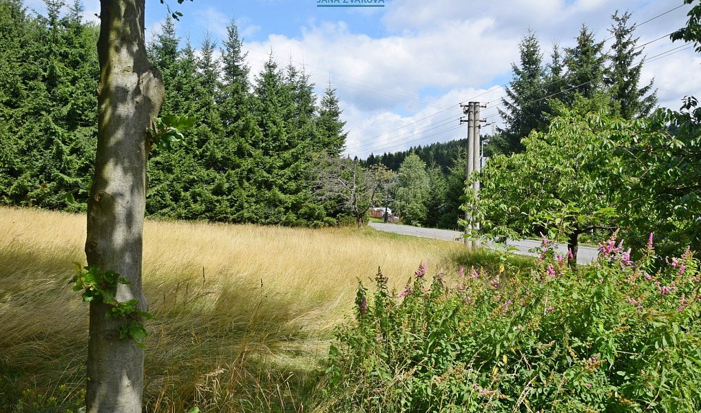 Prodej stavebního pozemku 880 m², Pěnčín – náhled fotky 7