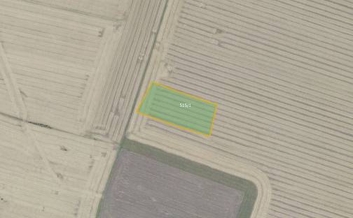 Prodej pole 7 161 m², Odřepsy, okres Nymburk