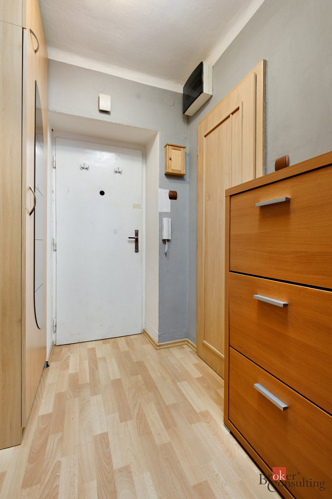 Pronájem bytu 1+1 30 m² - Widok 4