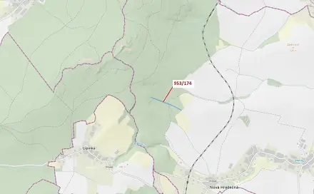 Dražba lesa 6 275 m², Lipinka