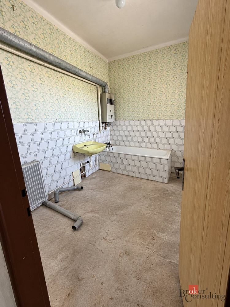 Fotka 11 z 18