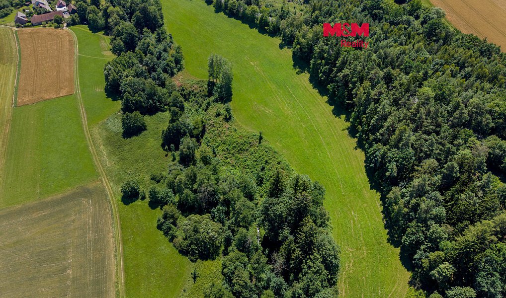 Prodej lesa 11 944 m², Bílá – náhled fotky 4