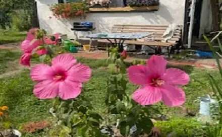 Prodej chaty/chalupy 16 m² s pozemkem 313 m², Na Rybářce, Praha 6 - Sedlec