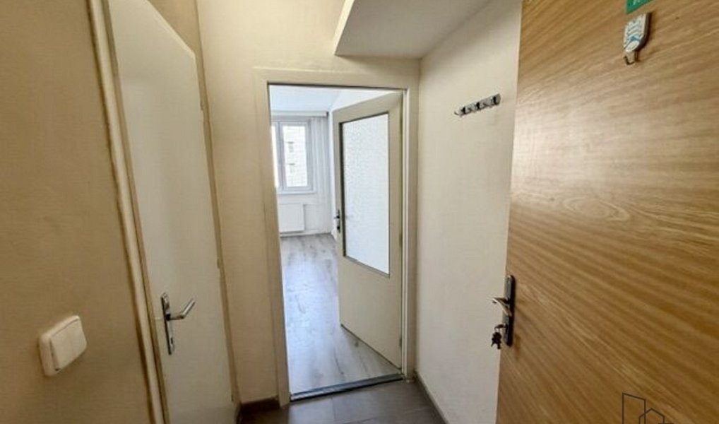 Pronájem bytu 1+kk 17 m², Hodonín – náhled fotky 5