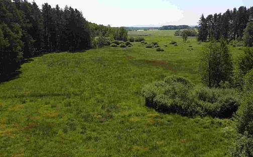 Prodej pozemku 20 535 m², Jílovice, okres České Budějovice