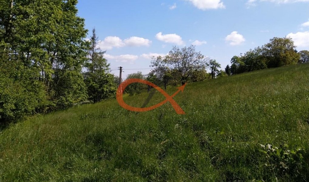 Prodej stavebního pozemku 9 208 m², Háj ve Slezsku – náhled fotky 2