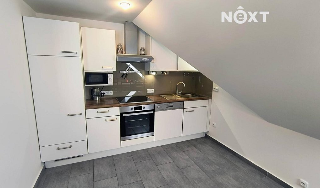 Pronájem bytu 3+kk 75 m², Strážné – náhled fotky 4