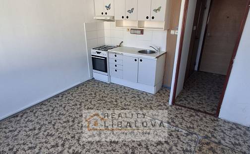 Pronájem bytu 1+1 35 m², Ústí nad Labem - Mojžíř