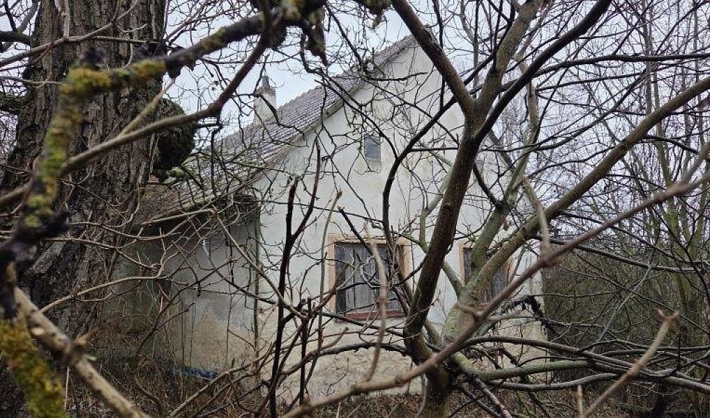Prodej domu 371 m² s pozemkem 11 770 m², Křižanov – náhled fotky 24