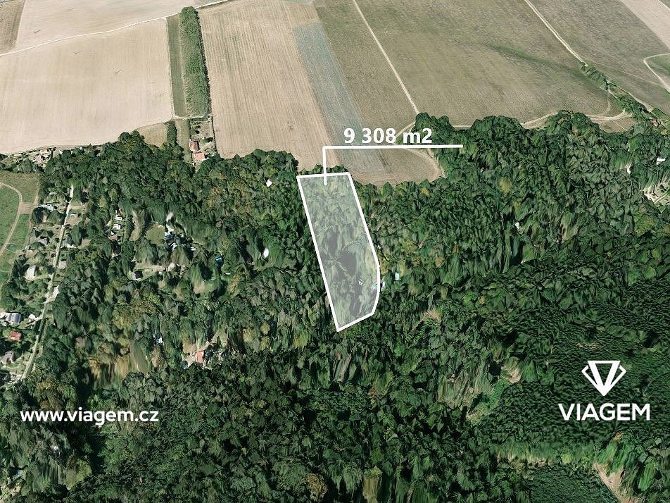 Prodej lesa 9 308 m²