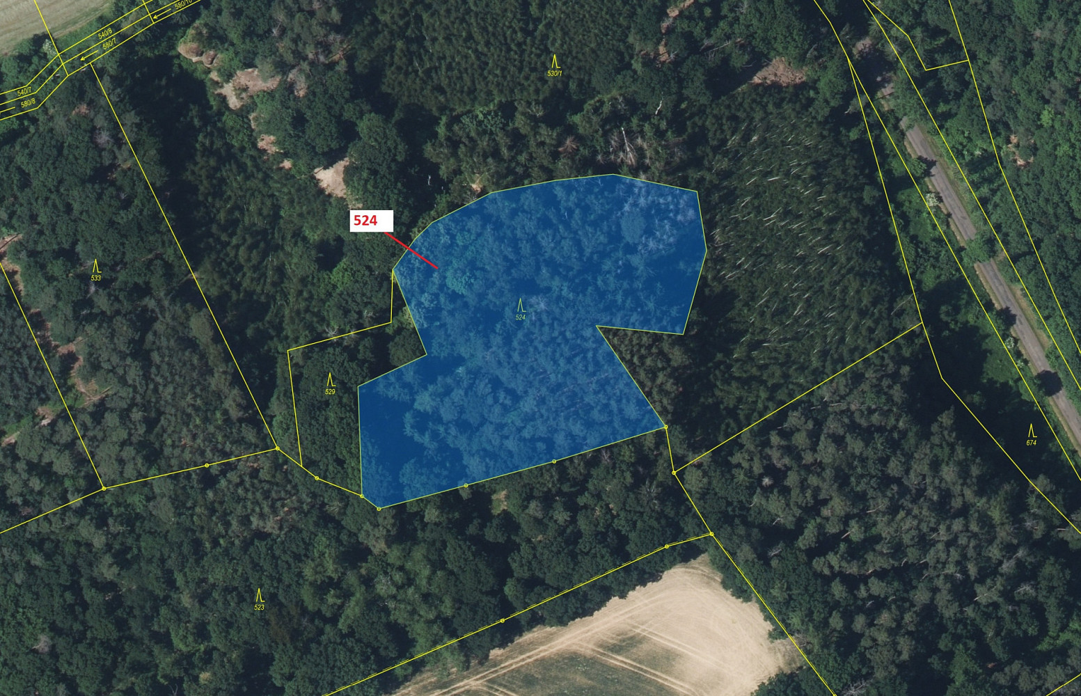 Dražba lesa 7 596 m² — photo 2