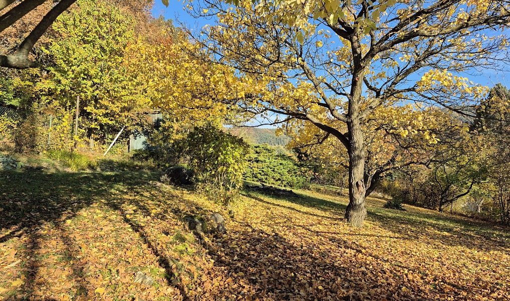 Prodej zahrady 823 m², Žitenice – náhled fotky 3