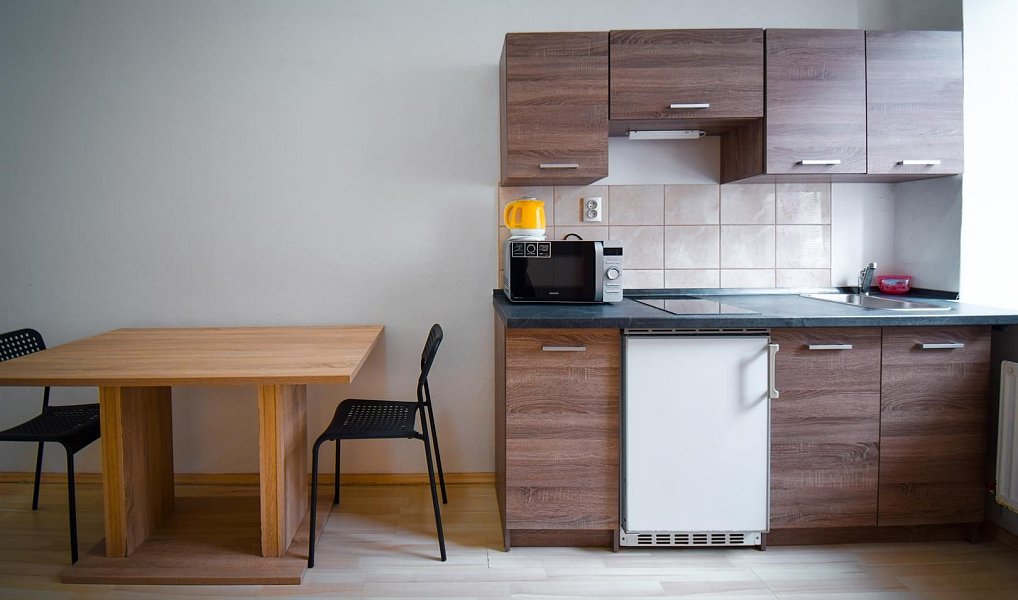 Pronájem bytu 2+1 45 m², Brno – náhled fotky 4