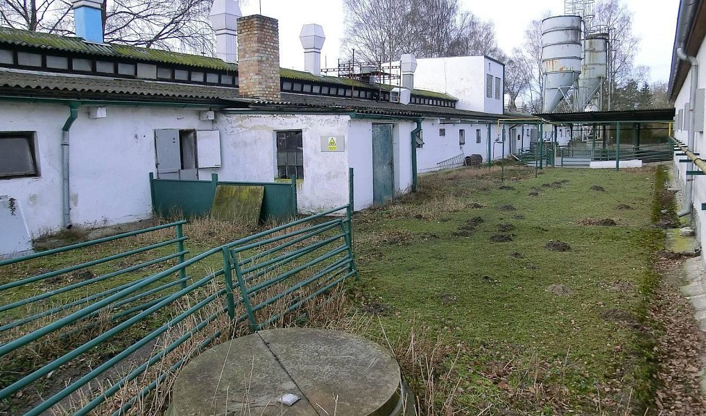 Prodej zemědělského objektu 2 000 m², Majdalena – náhled fotky 4