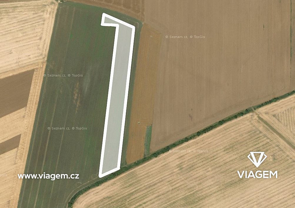 Prodej pole 5 871 m²