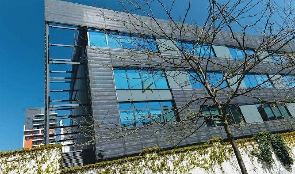 Pronájem kanceláře 350 m², Praha – náhled fotky 4