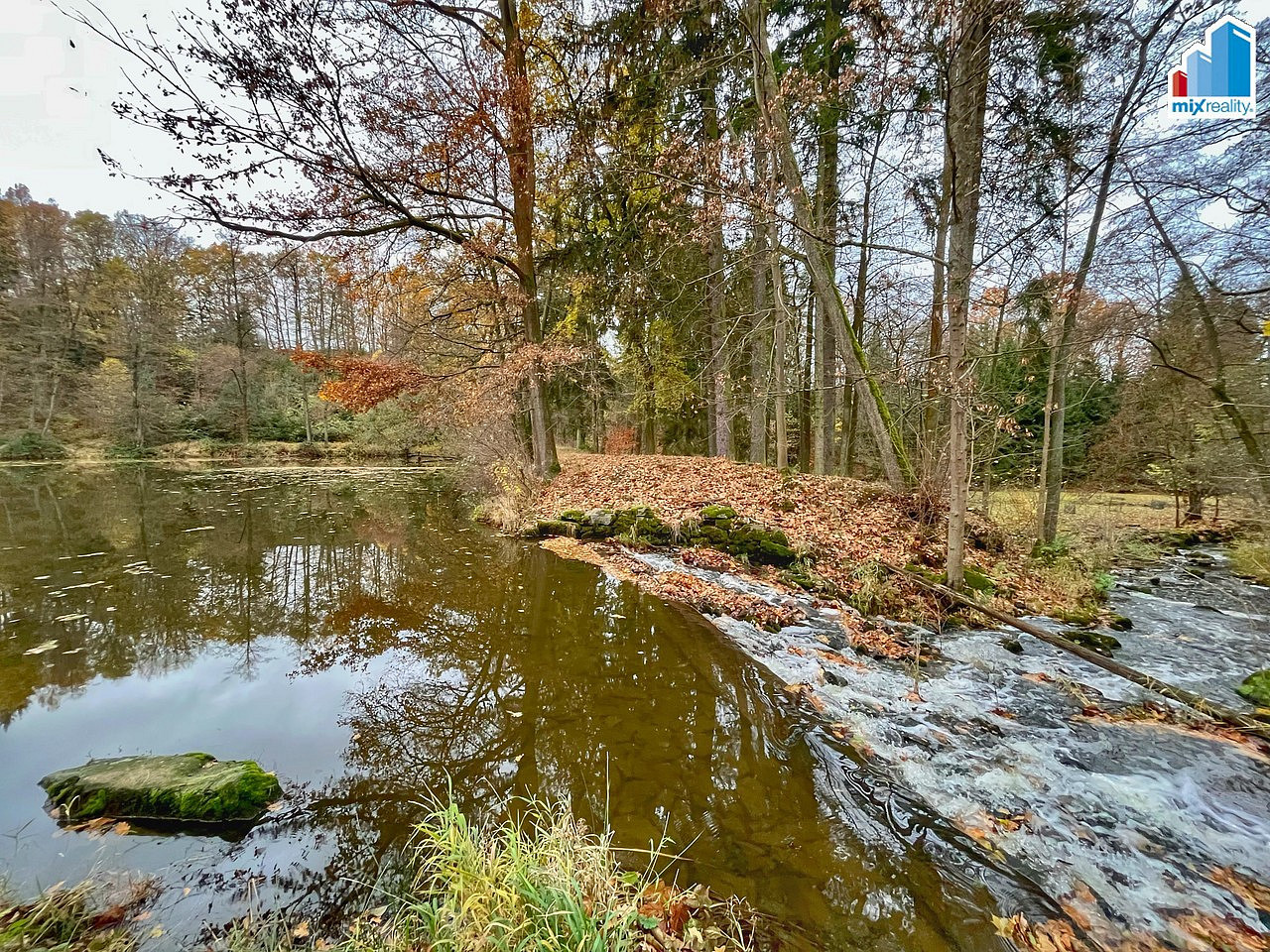 Fotka 7 z 25
