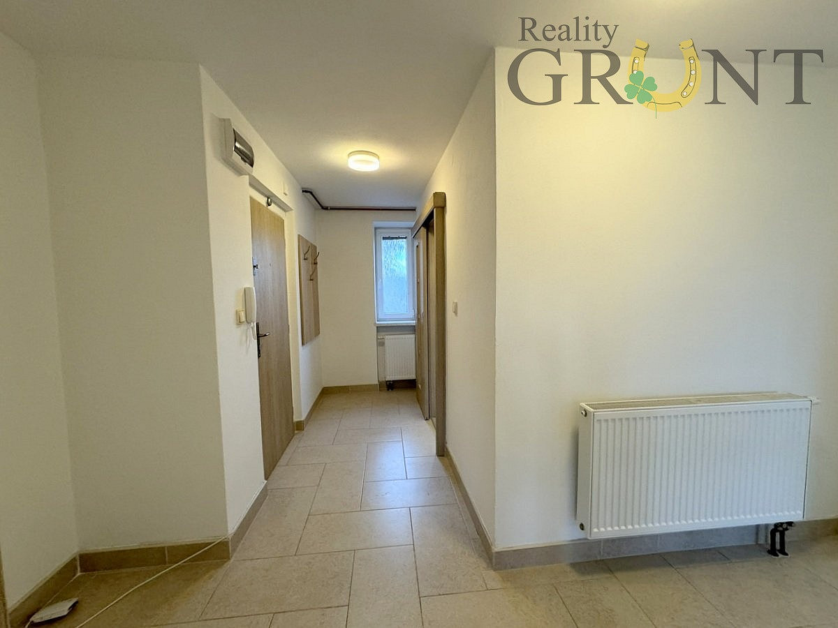 Pronájem bytu 2+1 60 m² – fotografie 5