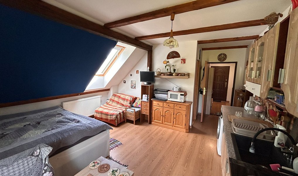 Prodej bytu 1+1 34 m², Janův Důl – náhled fotky 6
