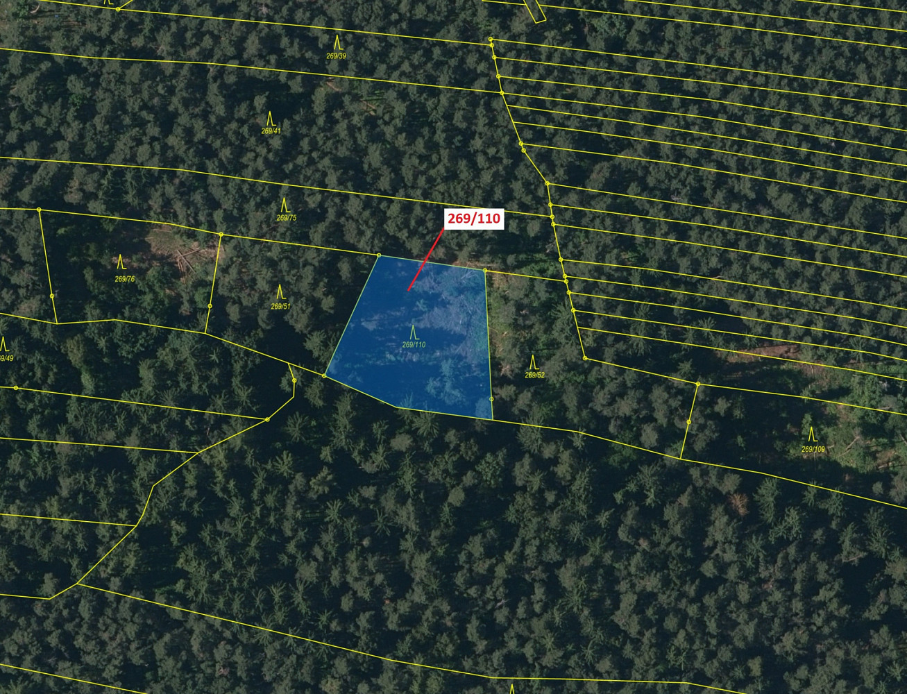Dražba lesa 1 701 m² – pohled 2