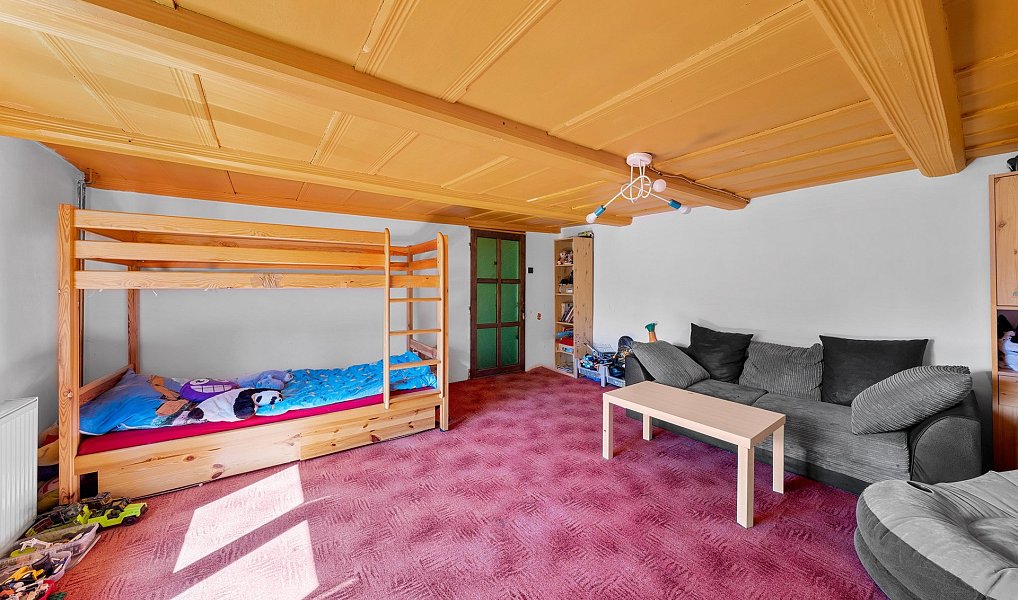 Prodej domu 380 m² s pozemkem 1 881 m², Velký Šenov – náhled fotky 20