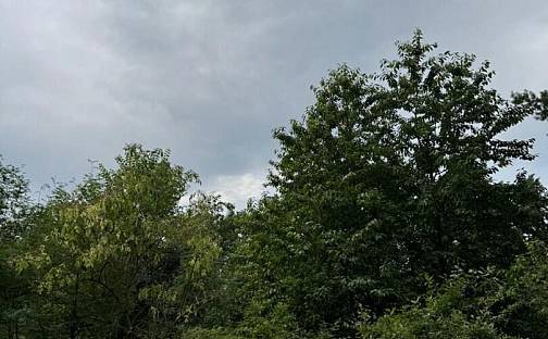 Prodej lesa 6 256 m², Temelín, okres České Budějovice