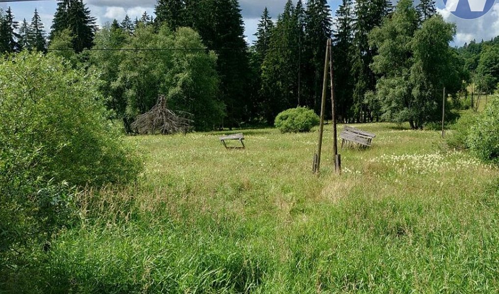 Prodej louky 18 127 m², Stožec – náhled fotky 7