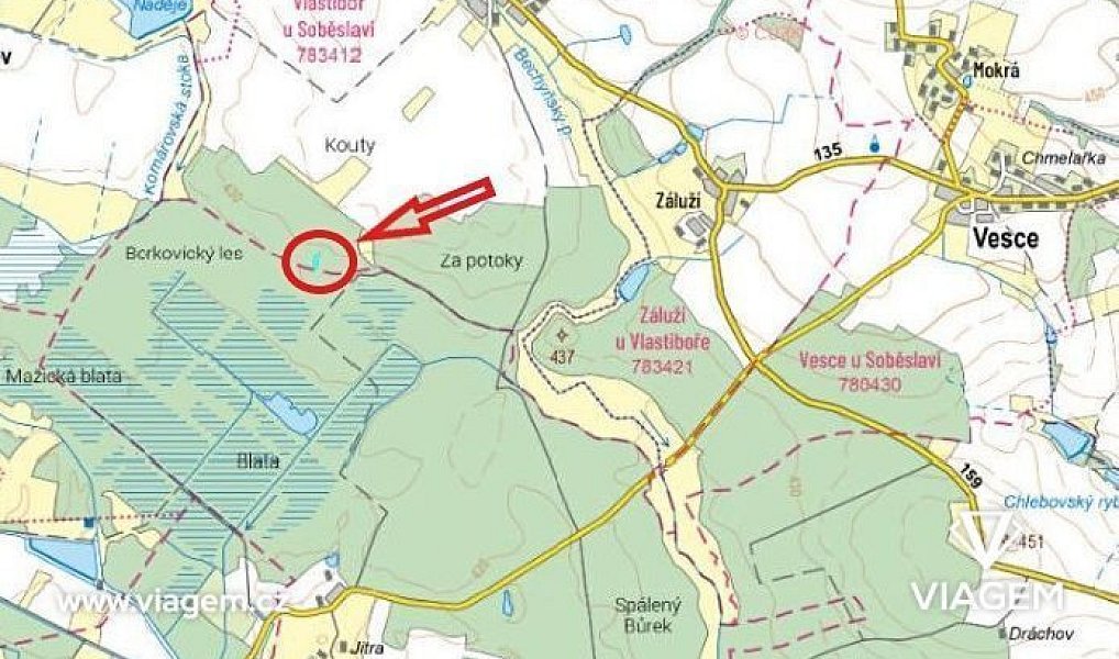 Prodej lesa 1 755 m², Vlastiboř – náhled fotky 3