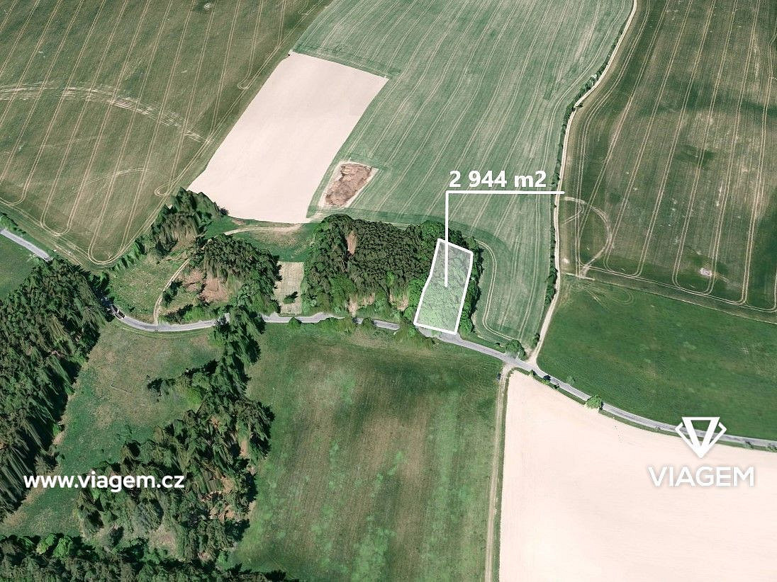 Prodej lesa 1 144 m²