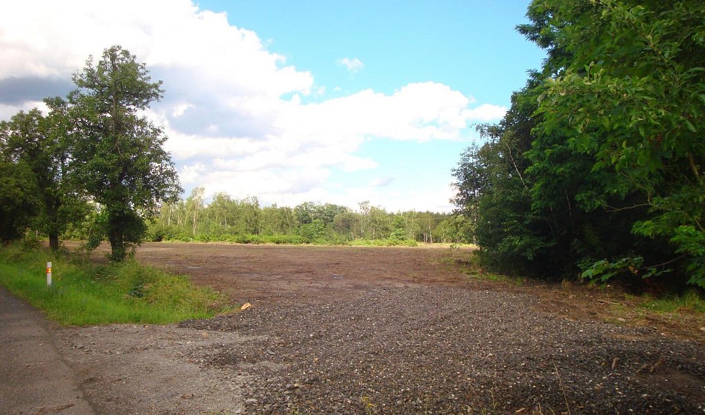Prodej stavebního pozemku 1 155 m², Mariánské Radčice – náhled fotky 3