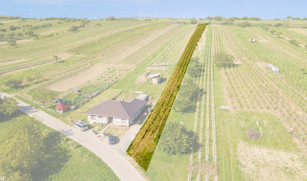Prodej stavebního pozemku 1 528 m², Velké Pavlovice – náhled fotky 8